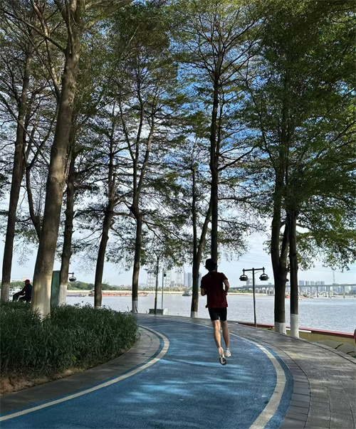 初夏晨练之韵(图1)