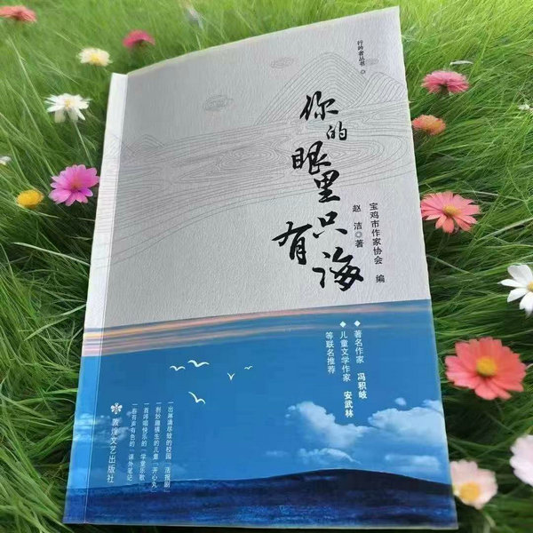 宝鸡作家赵洁散文集《你的眼里只有海》出版