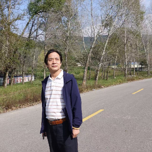 渭南作家王旺山最新长篇小说《向阳而生》出版发行 渭南作家王旺山最新长篇小说《向阳而生》出版发行